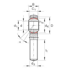 FAG Gelenkköpfe - GAKL30-PW