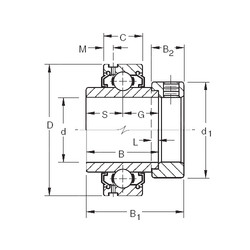 Bantalan G1204KLL Timken