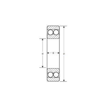 10406 SIGMA Self Aligning Ball Bearings