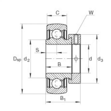 FAG Mancal tensor - RAE45-XL-NPP-B