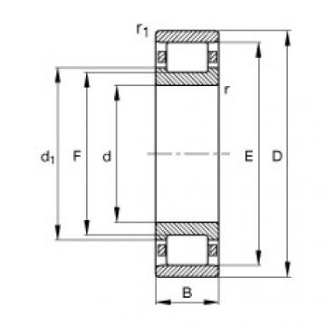 FAG Zylinderrollenlager - N206-E-XL-TVP2