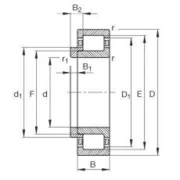 FAG Zylinderrollenlager - NJ206-E-XL-TVP2 + HJ206-E