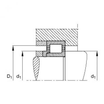 FAG Zylinderrollenlager - NJ206-E-XL-TVP2 + HJ206-E