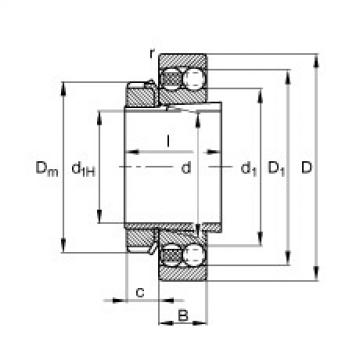 FAG Rolamento autocompensador de esferas - 2210-K-TVH-C3 + H310