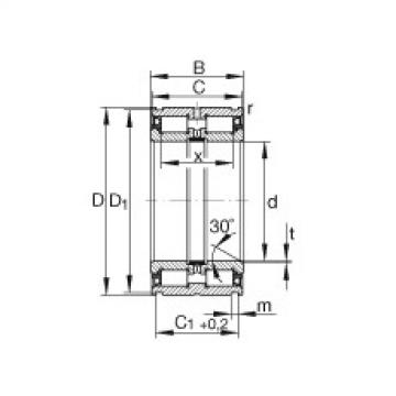 FAG Zylinderrollenlager - SL045006-PP