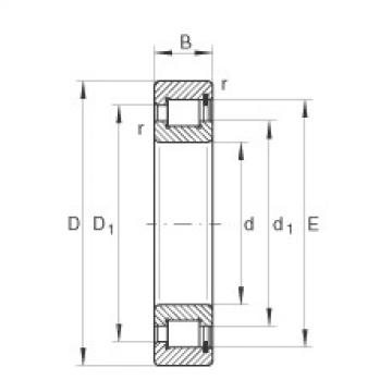 roulements SL182232 INA