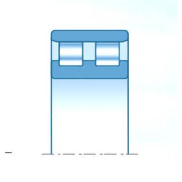 Rodamiento NN4040C1NAP4 NTN