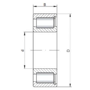 Bantalan NCF1852 V CX