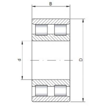 Bantalan NN4921 ISO