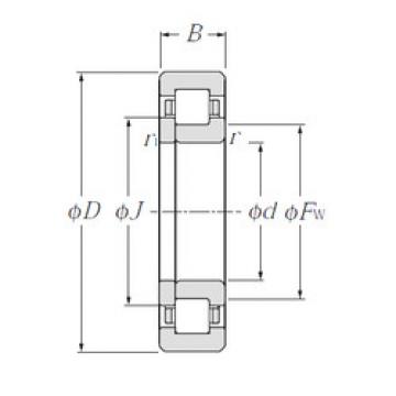 Rodamiento NUP2228 CYSD