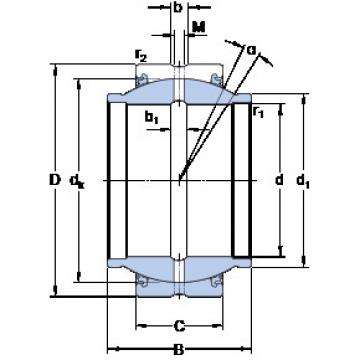 roulements GEZM 100 ESX-2LS SKF