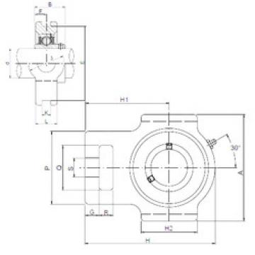 Rodamiento UCT305 ISO