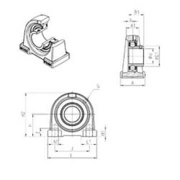 Rodamiento USPAE206 SNR