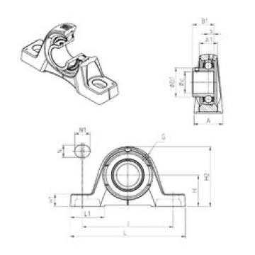 Rodamiento USPE205 SNR