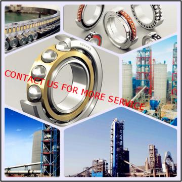 Centrifugal Pump Bearings  FCDP92124460/YA6