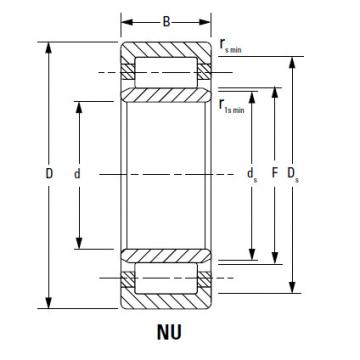 Bearing NJ1096EMA