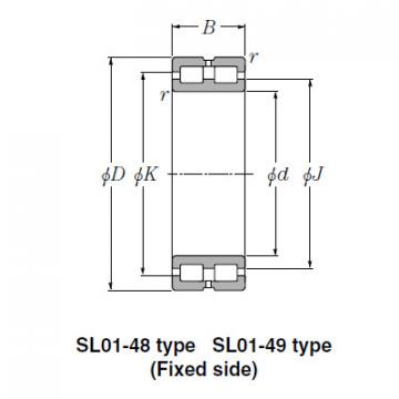 Bearing SL01-4838