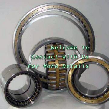 Mud Pump Crankshaft Bearing 10700-RIT