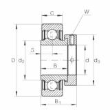 FAG Mancal tensor - RAE45-XL-NPP-FA106