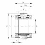 Rolando ZARN3062-TV INA