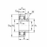 roulements GAY100-NPP-B-AS2/V INA