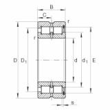 roulements SL185022 INA