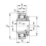 FAG Mancal tensor - GSH45-XL-2RSR-B