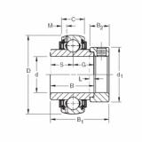 المحامل GN102KLLB Timken