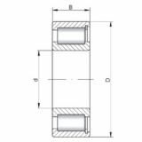 Bantalan NCF2236 V CX