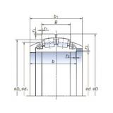 Bantalan SL1120-3 NSK