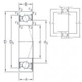 Bantalan VEX 40 /S/NS 7CE1 SNFA