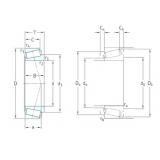 Rodamiento T7FC050/QCL7C SKF