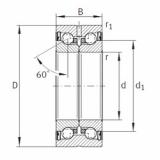 Bantalan ZKLN0619-2Z INA