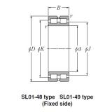 Bearing SL01-4938