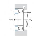 Bearing BA160-3 DF